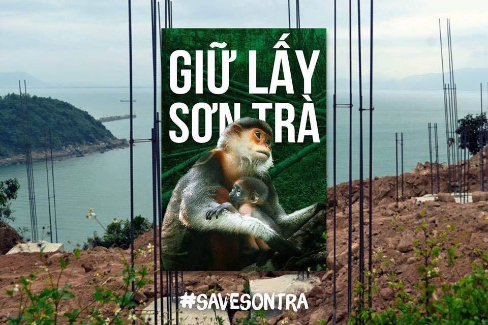 Sơn[-]Tr&agrave;[-]được[-]chọn[-]l&agrave;m[-]ph&eacute;p[-]thử[-]trong[-]cuộc[-]chiến[-]bảo[-]vệ[-]m&ocirc;i[-]trường